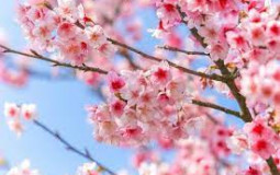 Attractive fictional peeps